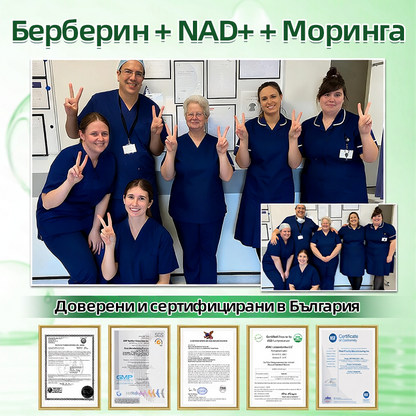 Официален магазин | 🧑‍⚕️ 𝑯𝒆𝒂𝒍𝒓𝒊𝒛𝒆® 𝑴𝒐𝒓𝒊𝒏𝒈𝒂 · 𝑩𝒆𝒓𝒃𝒆𝒓𝒊𝒏𝒆 × 𝑵𝑨𝑫+ 10-в-1 Усъвършенстван𝒂 нано микр𝒐иглена лепенка (Само веднъж на ден, видими промени за 7 дни) ✅ При затлъстяване, отпусната кожа, диабет, сънна апнея, ставни проблеми и още🥝